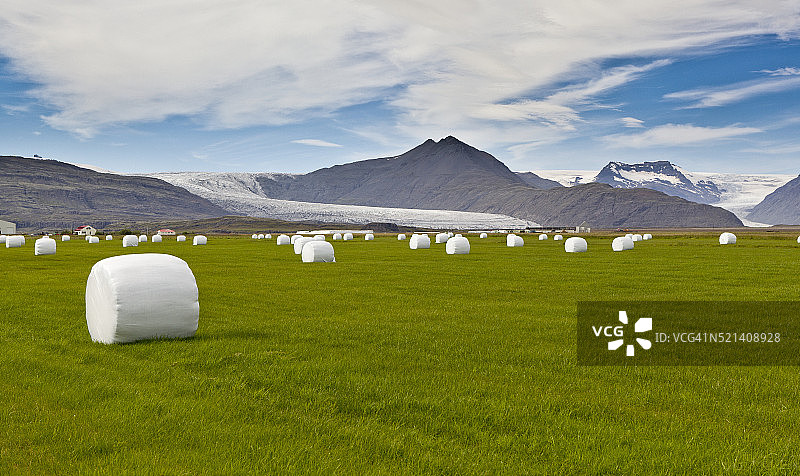 用塑料包裹的干草卷，背景是冰岛的Flaajokull冰川图片素材