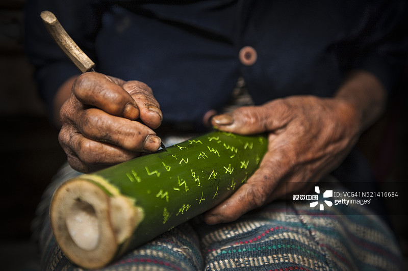 新鲜竹子上的哈努奴文图片素材