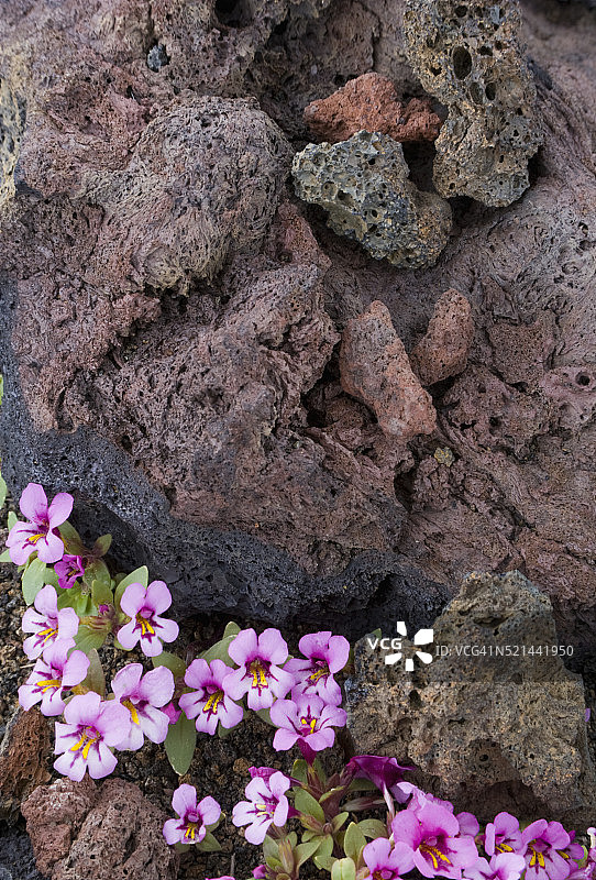 美国爱达荷州月球陨石坑国家纪念地和保护区图片素材