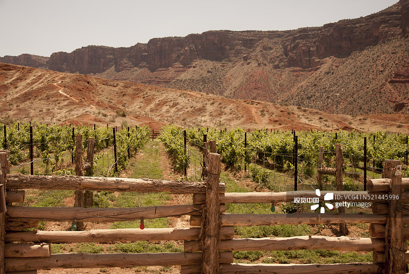 犹他州摩押附近科罗拉多河沿岸的城堡溪酒庄图片素材