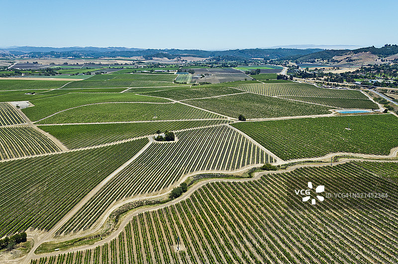 葡萄园图片素材
