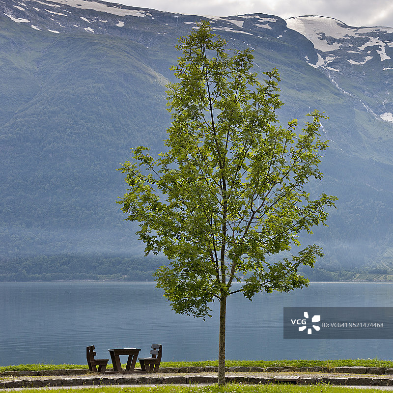 挪威哈当厄尔峡湾索尔夫峡湾的野餐桌和树图片素材