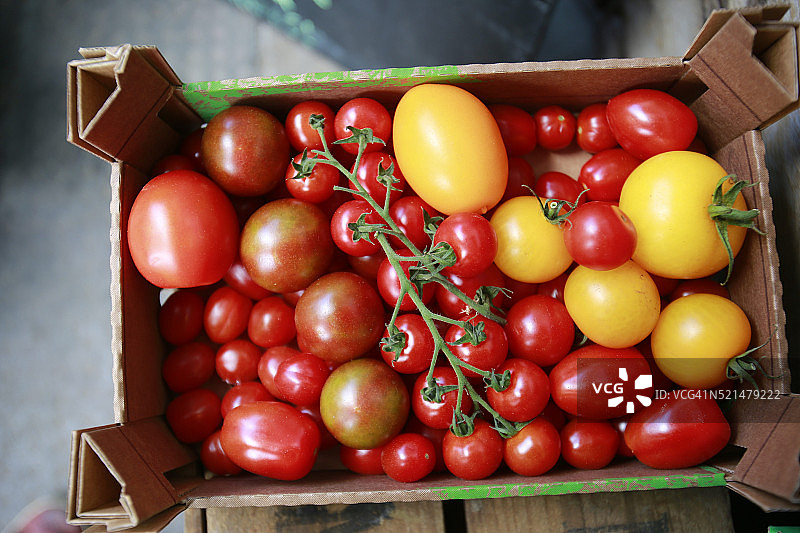 伦敦博罗市场出售的各色红色和黄色番茄图片素材