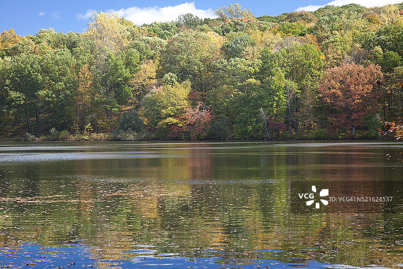 秋天的洛克菲勒州立公园保护区图片素材