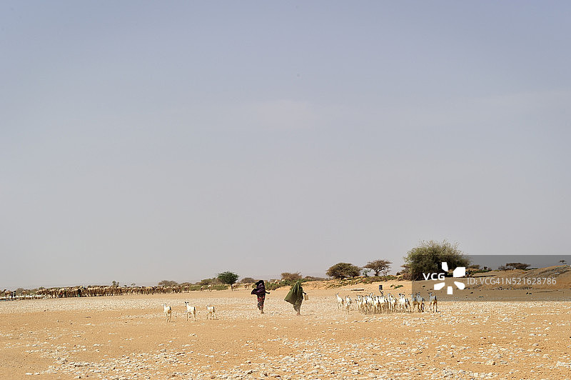 索马里邦特兰的干涸河床图片素材