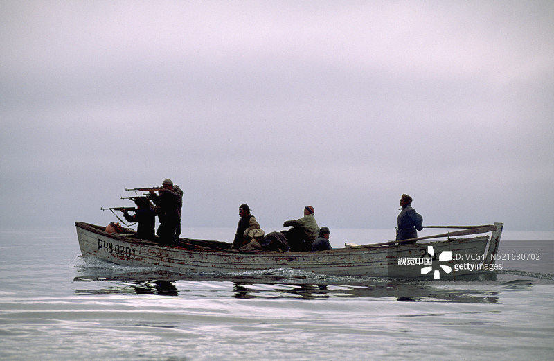 猎人射击灰鲸图片素材
