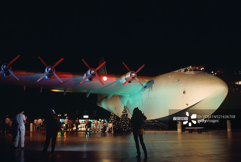 云杉鹅图片素材