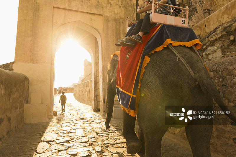 琥珀堡大象骑行，斋浦尔，拉贾斯坦邦，印度图片素材