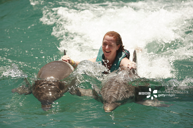 女子在海洋世界与海豚嬉戏图片素材