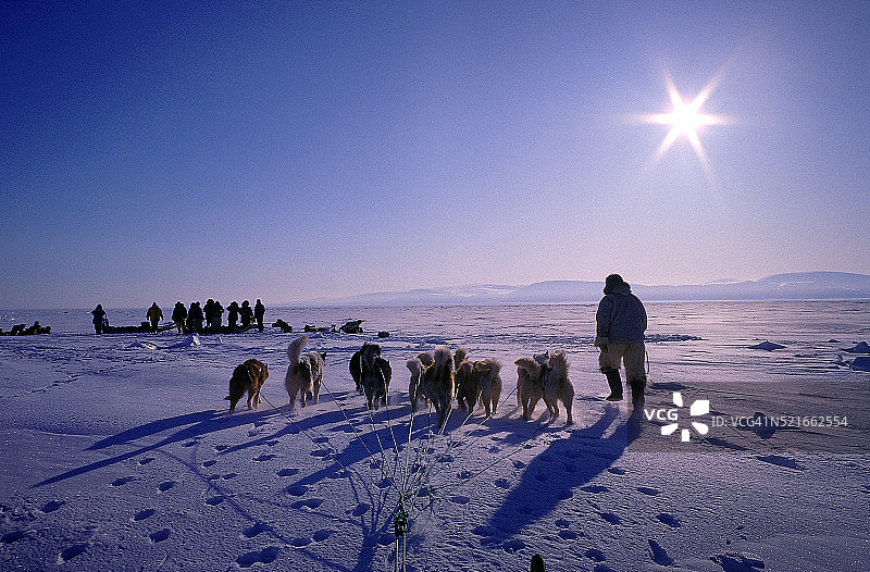 猎人与狗拉雪橇在雪地苔原上图片素材