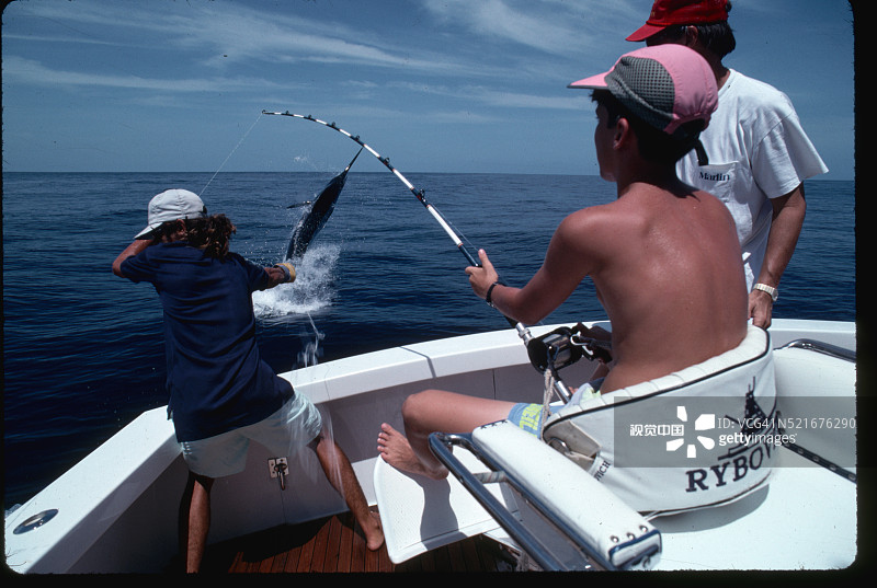 上钩的蓝枪鱼图片素材