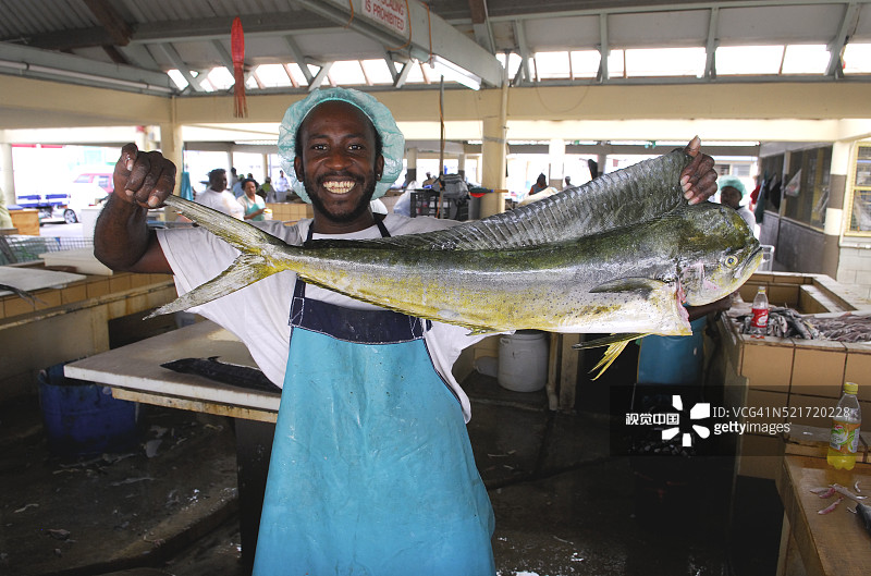加勒比鱼市：鱼贩展示鲯鳅鱼图片素材