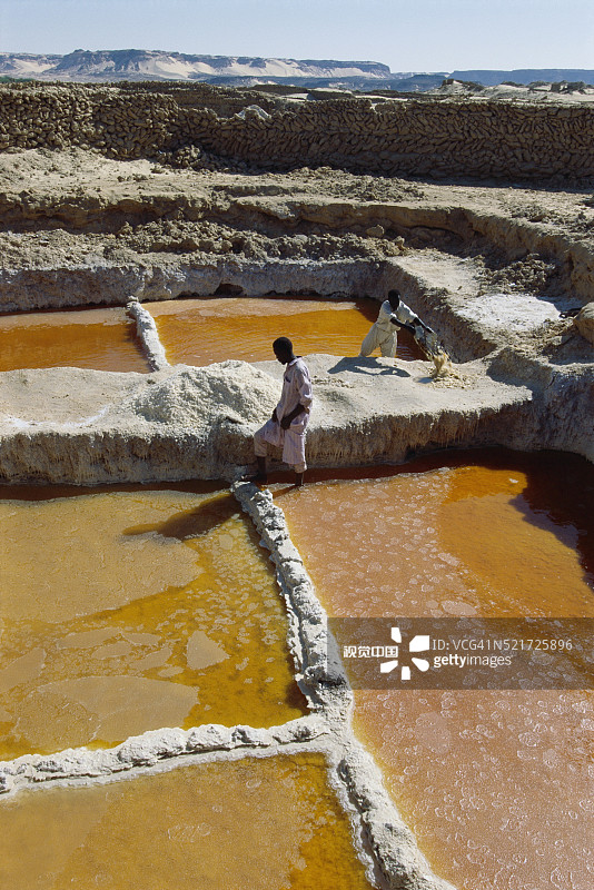 盐池采盐图片素材