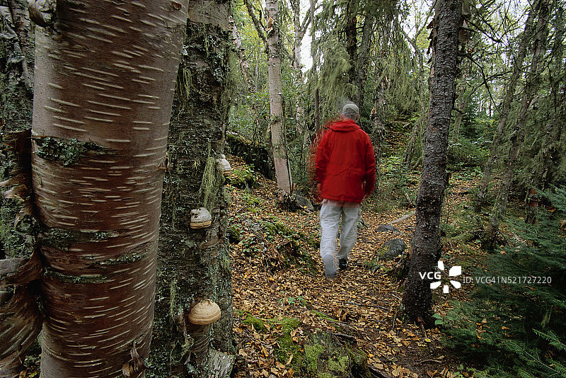 男人在海滩小路上行走图片素材