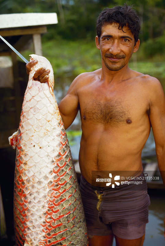 当地男子抱着巨型亚马逊海象鱼图片素材