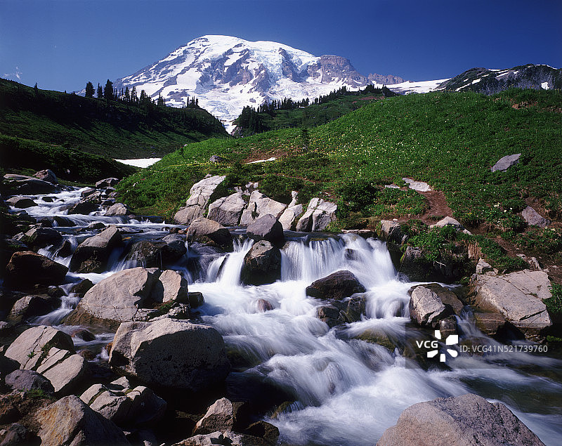 雷尼尔山国家公园的伊迪丝溪图片素材