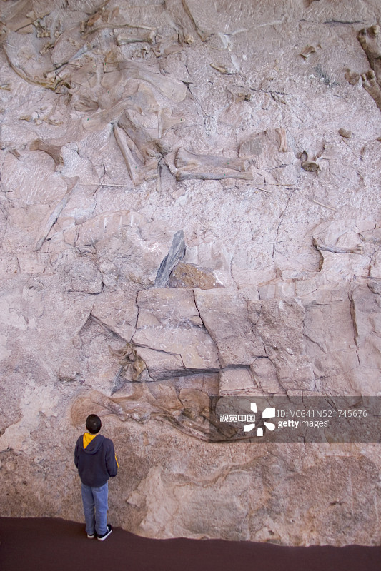 美国犹他州恐龙国家纪念碑：游客观看裸露的恐龙化石图片素材