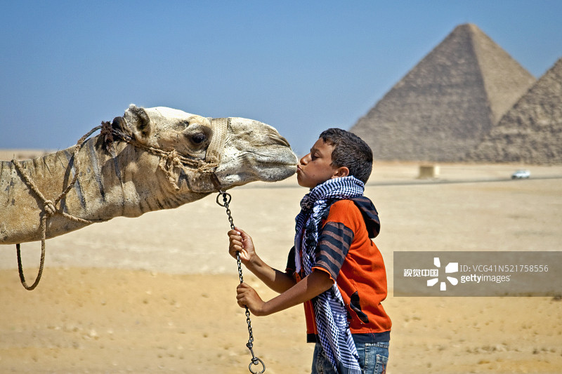 亲吻骆驼的埃及男孩图片素材
