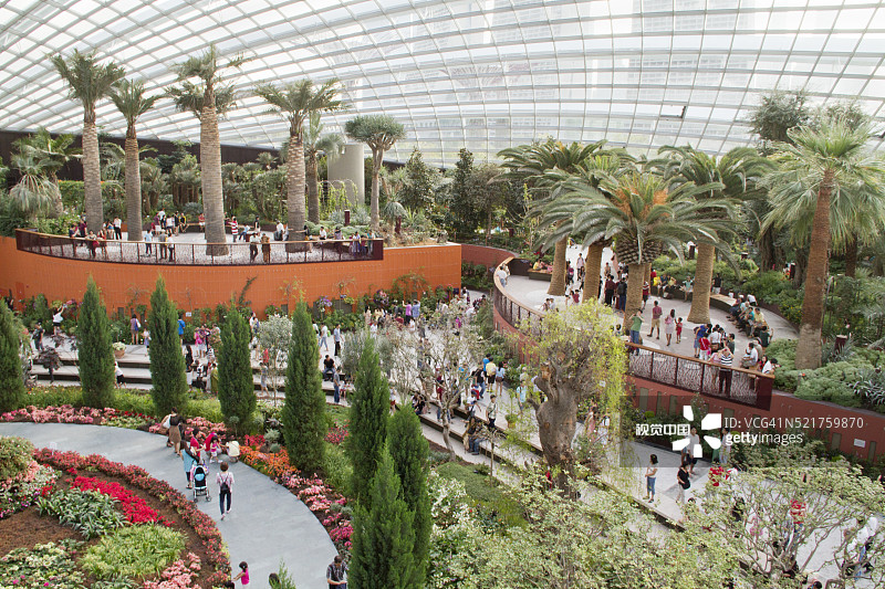滨海湾花园花穹内部图片素材