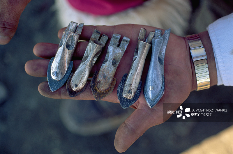 鱼叉头图片素材