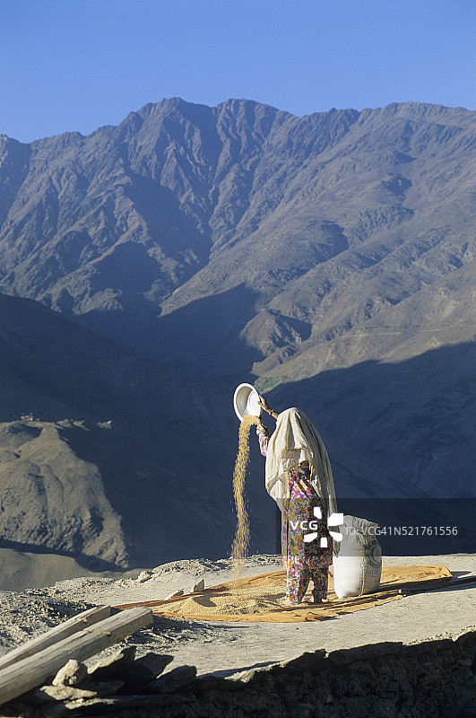 巴基斯坦奇特拉尔地区Garam Chashma村妇女正在扬荞麦图片素材