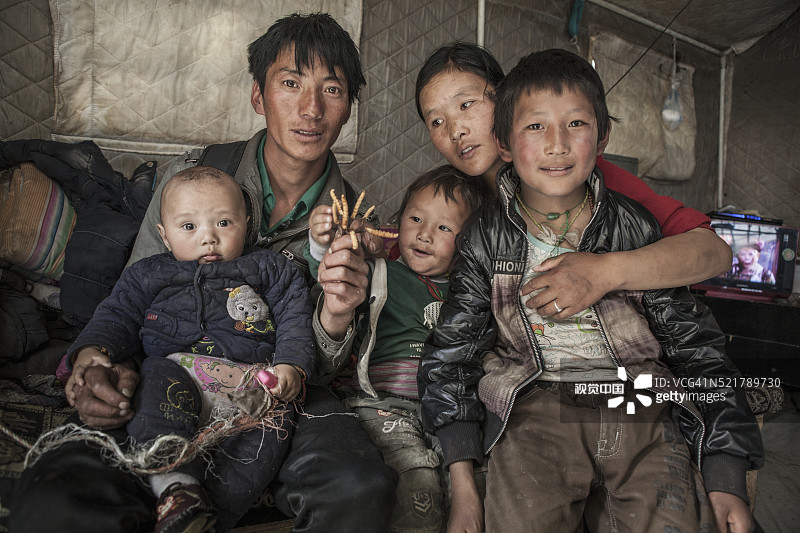 虫草的故事图片素材