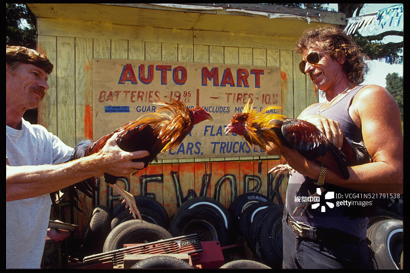 汽车修理工和斗鸡推广者图片素材