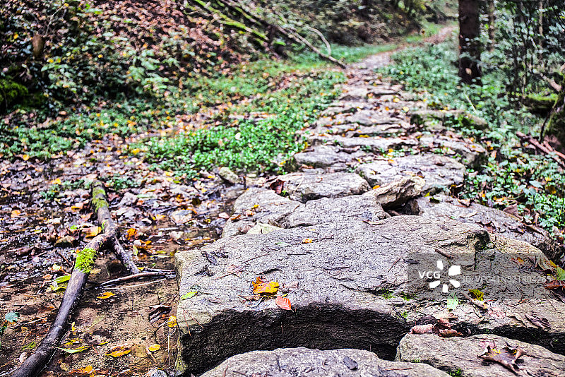 美丽的秋天图片素材