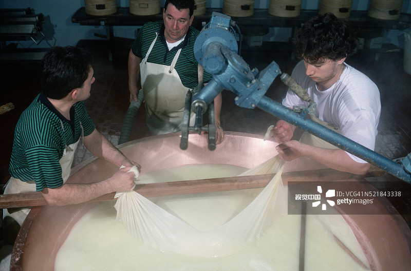 男人从大桶中取出成熟的帕尔马干酪凝乳图片素材