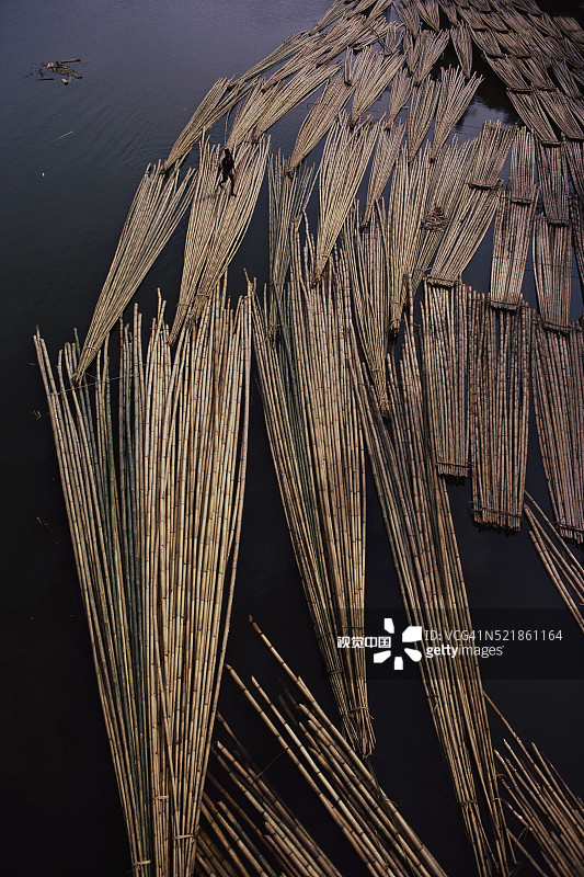 河中漂浮的收割竹子图片素材