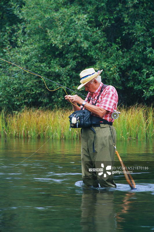 年长的男人飞蝇钓鳟鱼图片素材