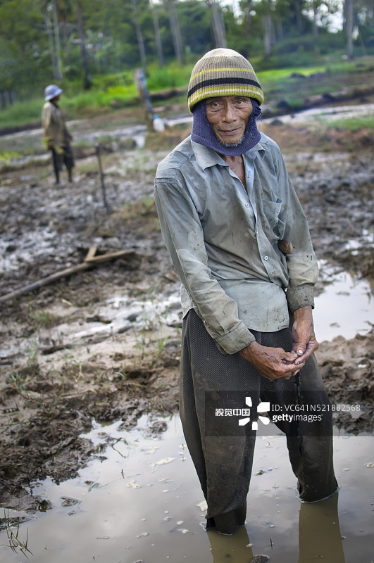 泥泞稻田里的稻农图片素材