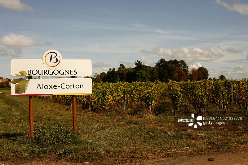 阿洛克斯-科尔通镇葡萄园标牌图片素材