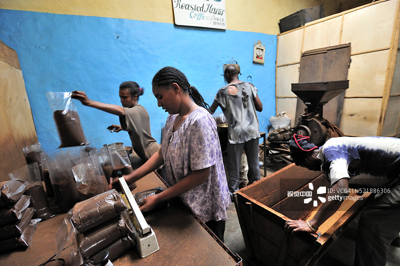埃塞俄比亚咖啡生产图片素材