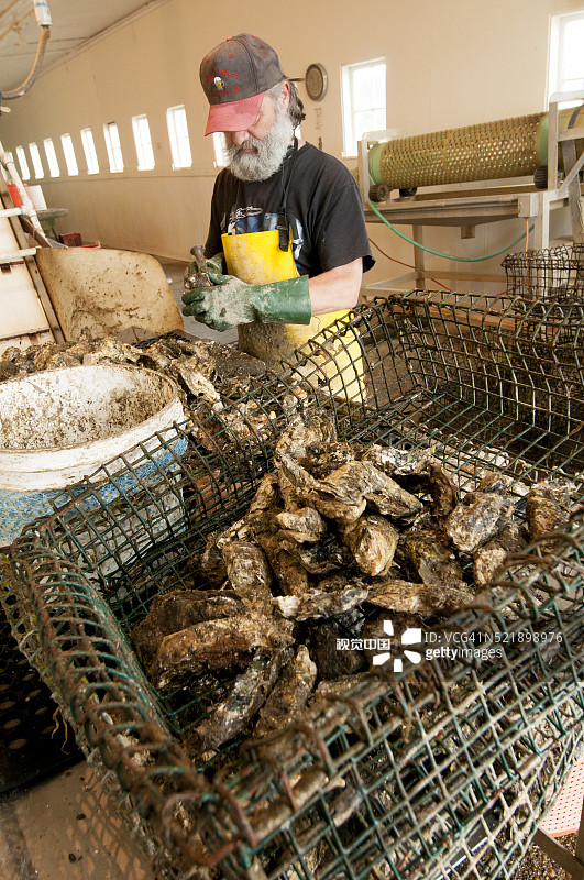 华盛顿州北滩半岛奥伊斯特维尔海产罐头厂图片素材