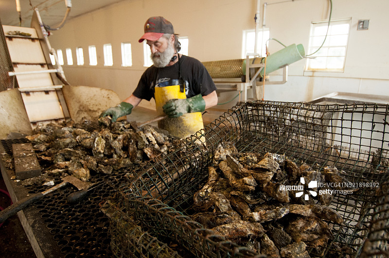 华盛顿州北滩半岛奥伊斯特维尔海产罐头厂图片素材