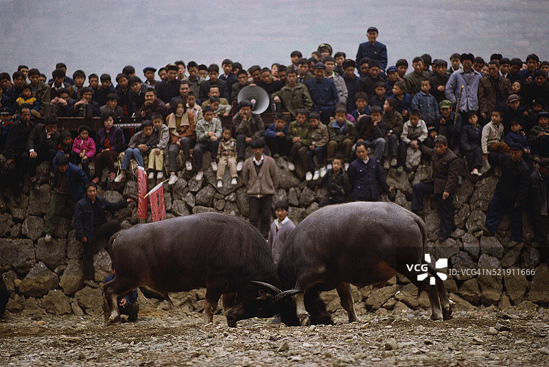 观看斗牛比赛的观众图片素材