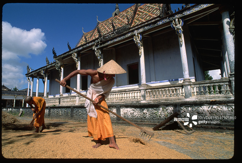 僧侣晾晒稻米图片素材