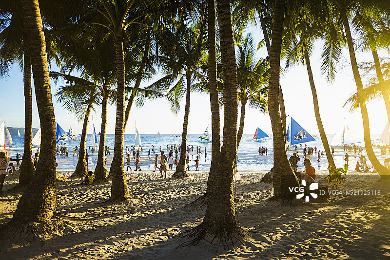 菲律宾长滩岛白沙滩上的椰子树图片素材