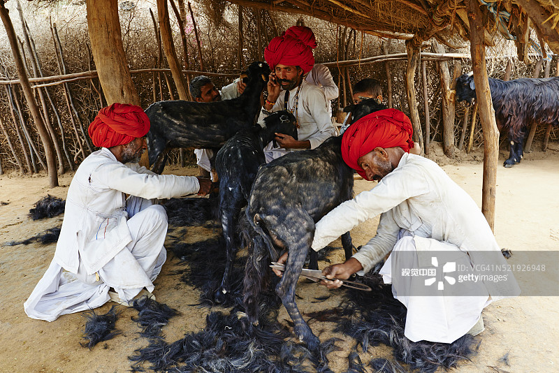 印度拉贾斯坦邦焦特布尔周边梅达村庄图片素材