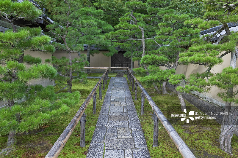 日本京都大德寺禅宗花园的松树雕塑图片素材