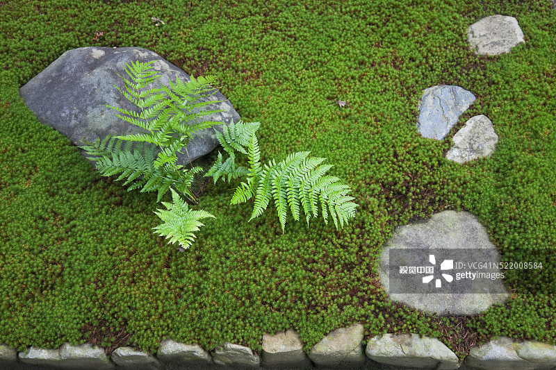日本京都大德寺的禅宗花园踏脚石图片素材