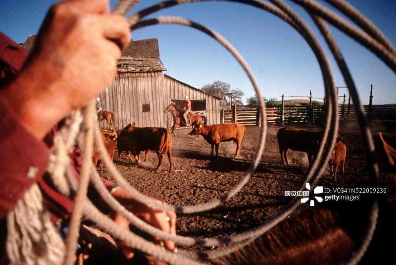 牧牛场上的牛仔图片素材