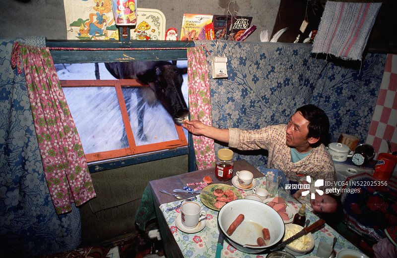 涅涅茨人喂养驯鹿图片素材