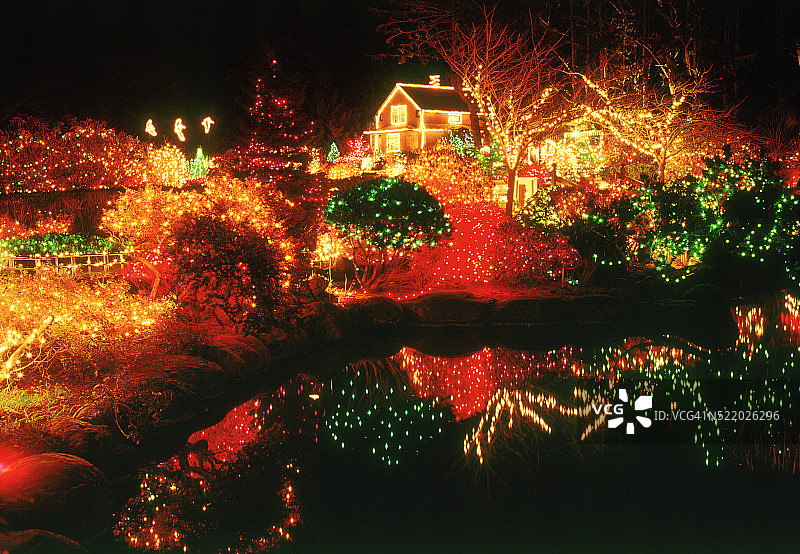 植物园圣诞彩灯，肖尔埃克斯州立公园，库斯县，俄勒冈州图片素材