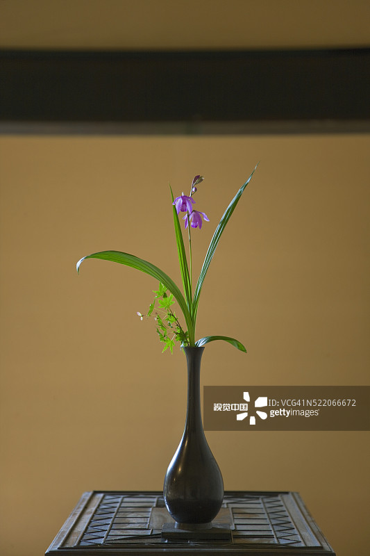 日本奈良的彩色图像图片素材