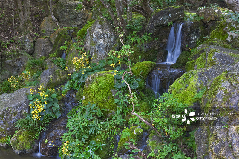日本京都醍醐寺弁天堂花园池塘瀑布图片素材