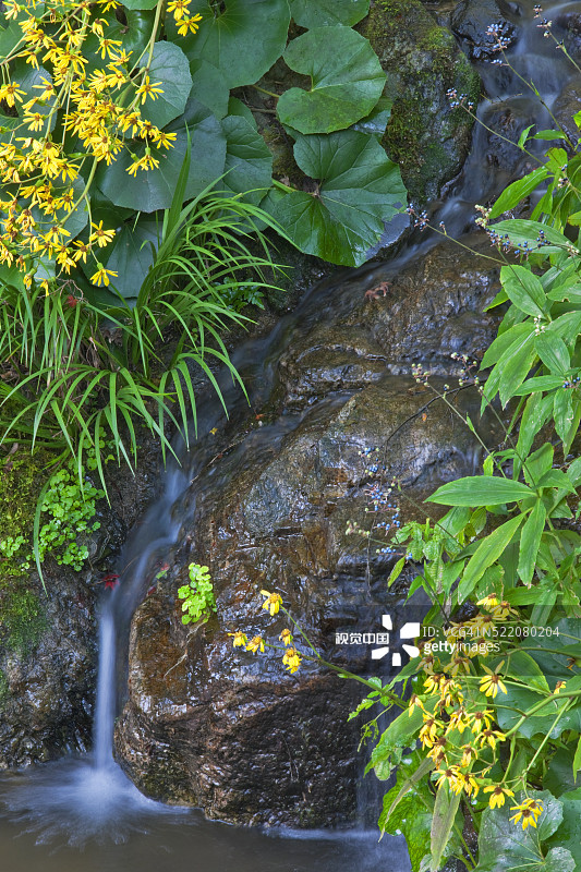 日本京都醍醐寺弁天堂花园池塘瀑布图片素材