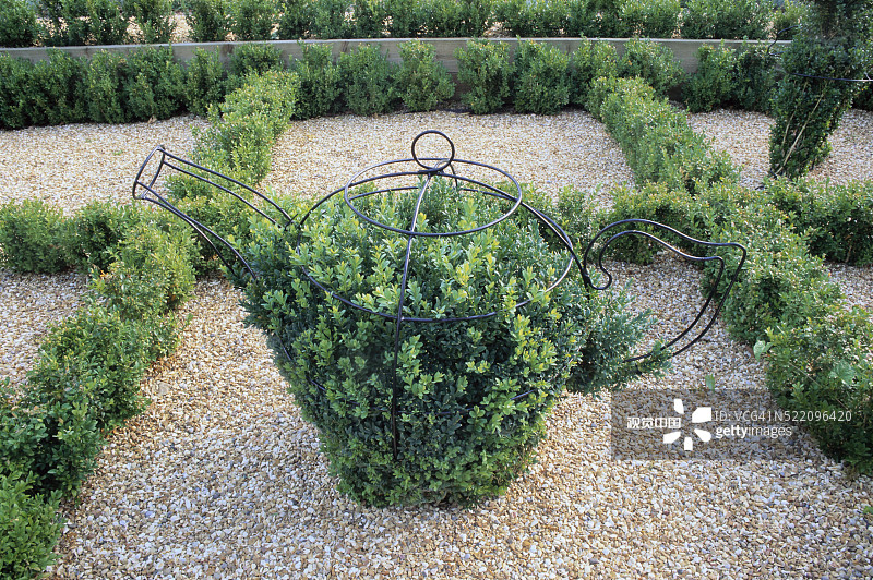 装饰花园中的铁茶壶图片素材