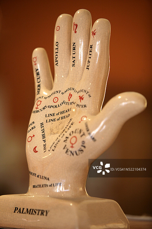 手相模型图片素材